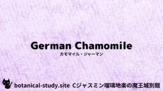 German Chamomile：Mini Dictionary Quiz　カモマイル・ジャーマン