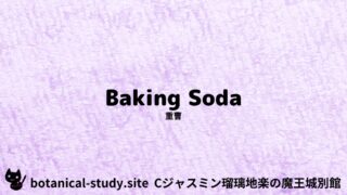Baking Soda：Mini Dictionary Quiz　重曹