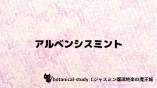 アルベンシスミント：プチ辞典クイズ