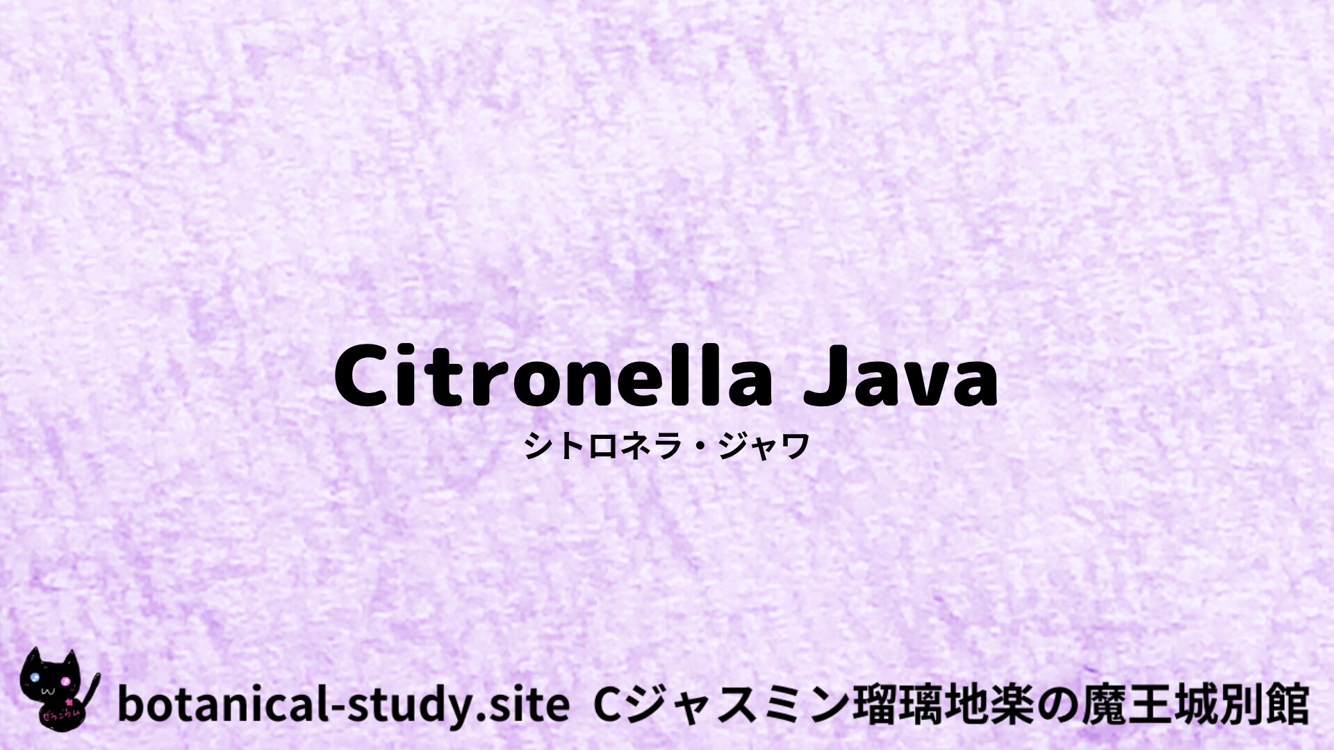 【別館】citronella-jawa-シトロネラ・ジャワ/アイキャッチ＠botanical-study.site
