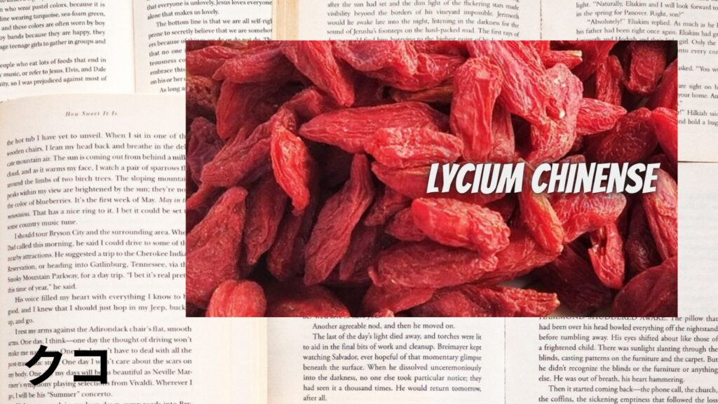 【別館画像】goji-berry-クコ/ハーブ/アイキャッチ＠botanical-study.site