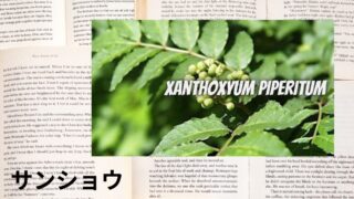 サンショウ：プチ辞典