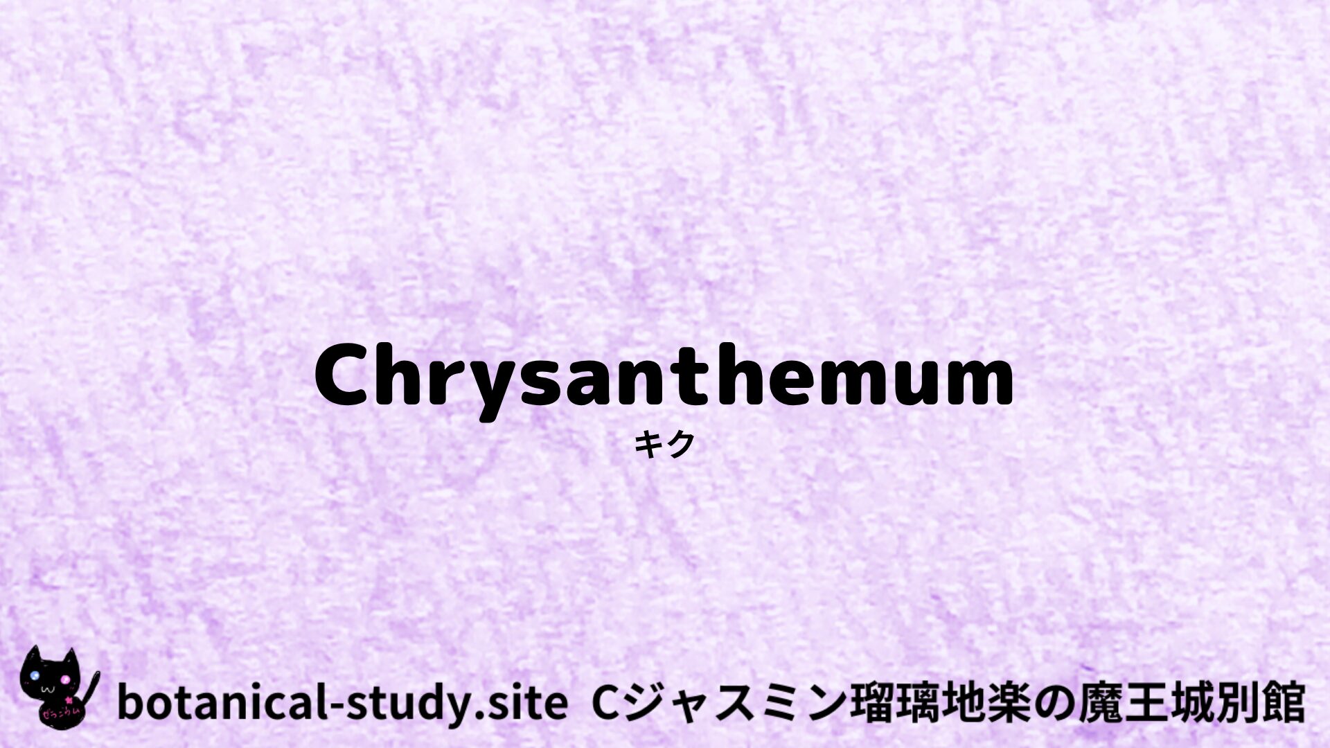 【別館】chrysanthemum-キク/ハーブ/アイキャッチ＠botanical-study.site