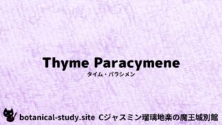 Thyme Paracymene:Mini Dictionary Quiz タイム・パラシメン
