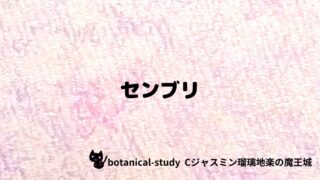センブリ：プチ辞典クイズ
