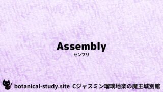 Assembly：Mini Dictionary Quiz　センブリ