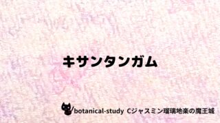 キサンタンガム：プチ辞典