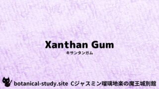 Xanthan Gum :Mini Dictionary Quiz キサンタンガム