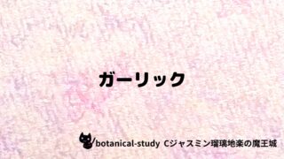 ガーリック:プチ辞典クイズ