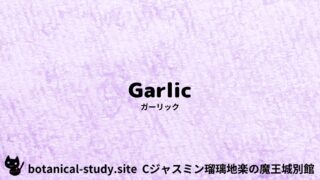 Garlic:Mini Dictionary Quiz ガーリック