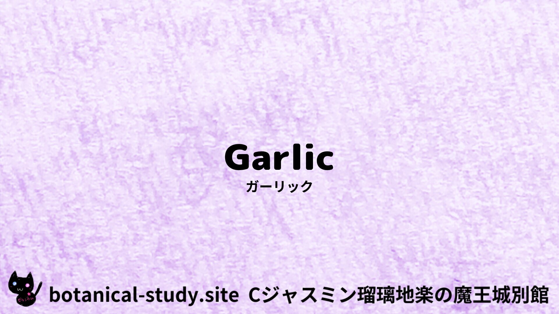 【別館】garlic-ガーリック/ハーブ/アイキャッチ＠botanical-study.site