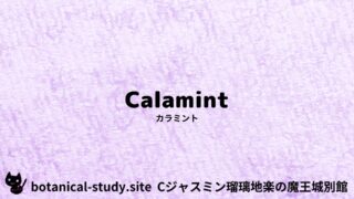 Calamint:Mini Dictionary Quiz カラミント