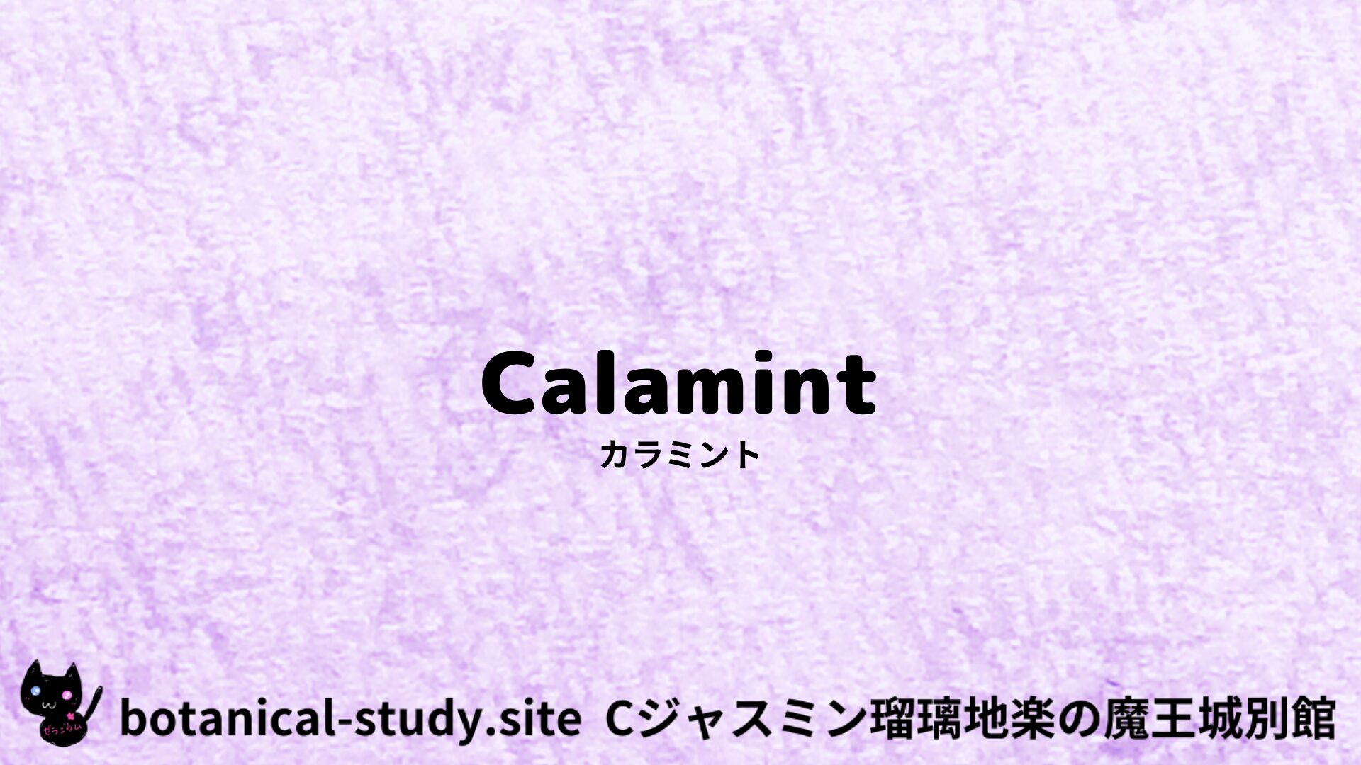【別館】calamintha-nepeta-カラミント/アイキャッチ@botanical-study.site
