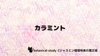 カラミント:プチ辞典クイズ