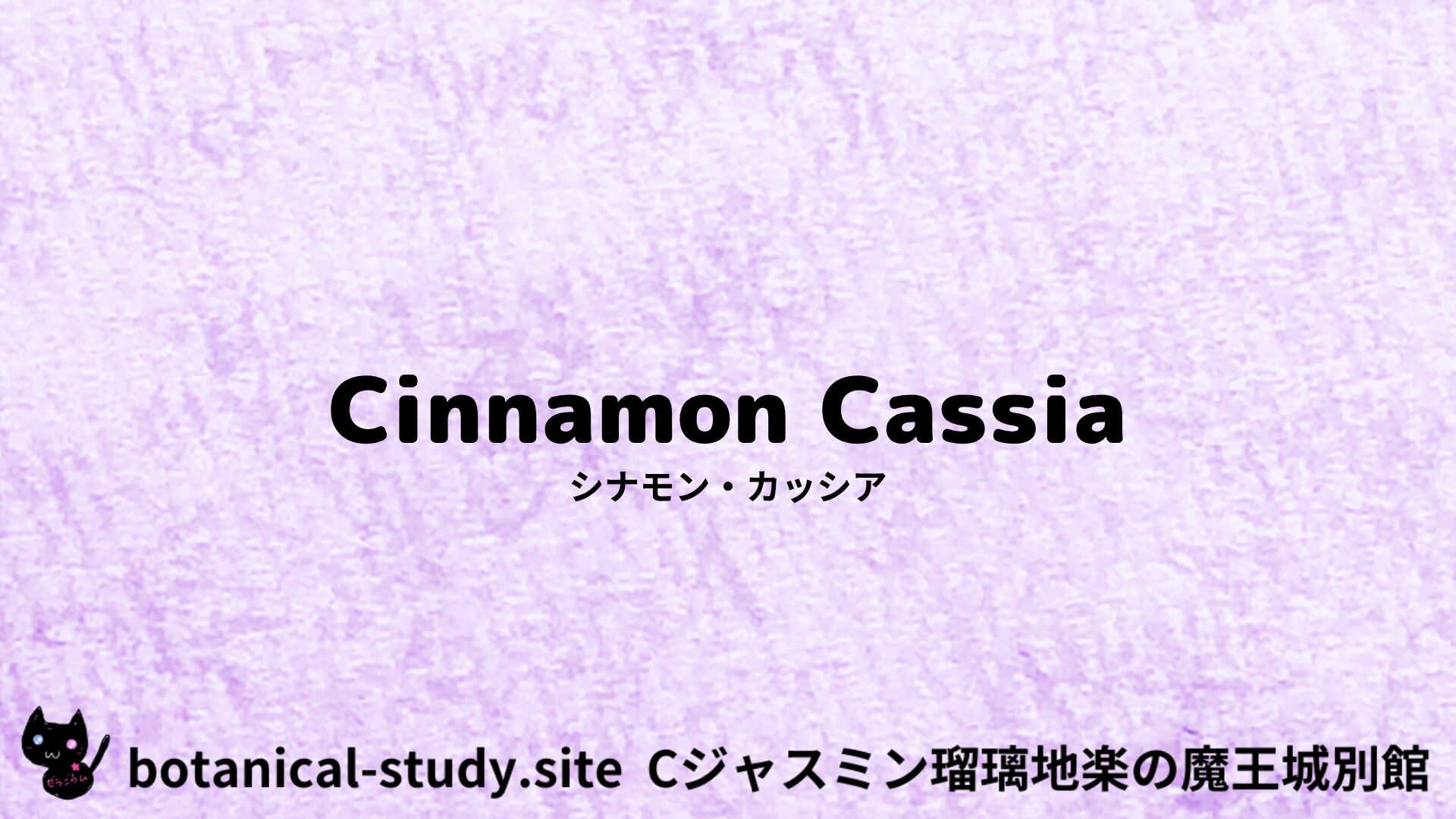 【別館】cinnamon-cassia-シナモン・カッシア/アイキャッチ＠botanical-study.site