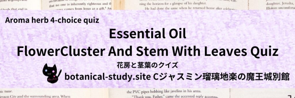 Quiz on Aromatic Classifications of Essential Oils flower cluster and stem with leaves　アロマエッセンシャルオイルの花房と茎葉のクイズ-botanical-study-site-gCJ.jpg