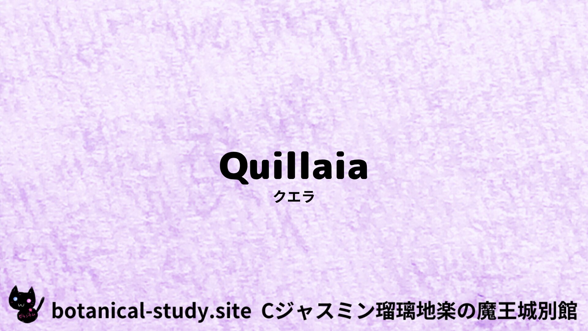 【別館】cuella-クエラ/アイキャッチ@botanical-study.site