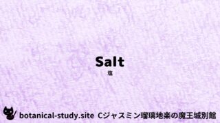 Salt：Mini Dictionary Quiz　塩