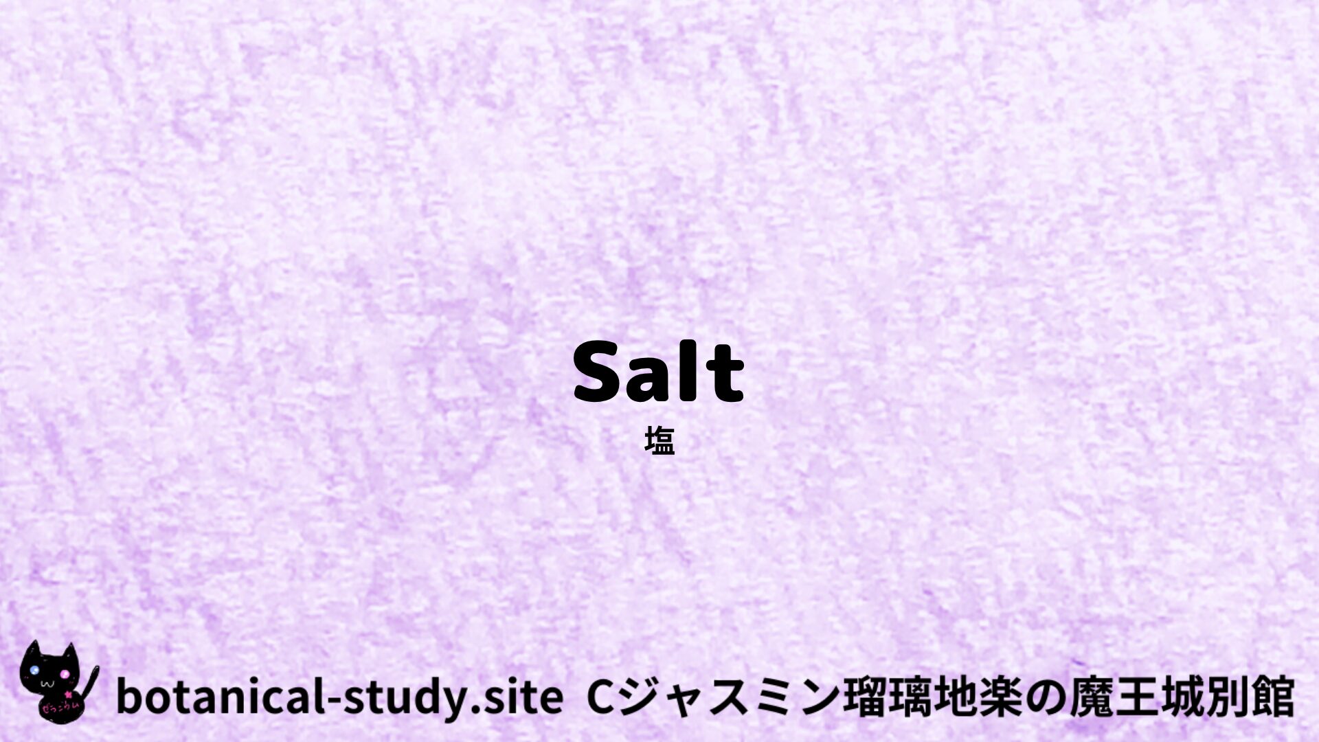 【別館】salt-塩/アイキャッチ＠botanical-study.site
