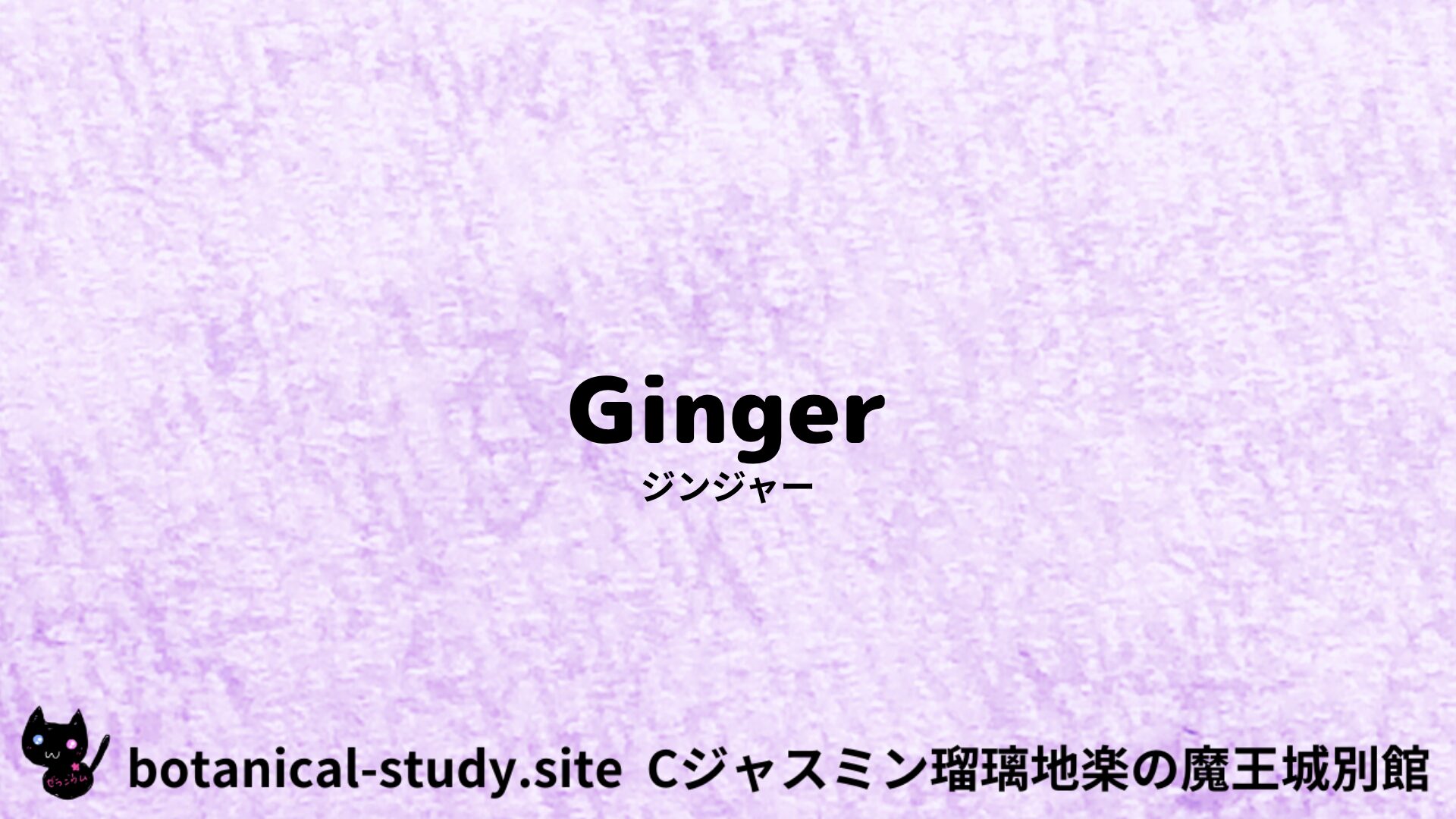 【別館】ginger-ジンジャー/ハーブ/アイキャッチ＠botanical-study.site