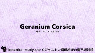 Geranium Corsica:Mini Dictionary Quiz ゼラニウム・コルシカ