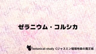 ゼラニウム・コルシカ：プチ辞典クイズ