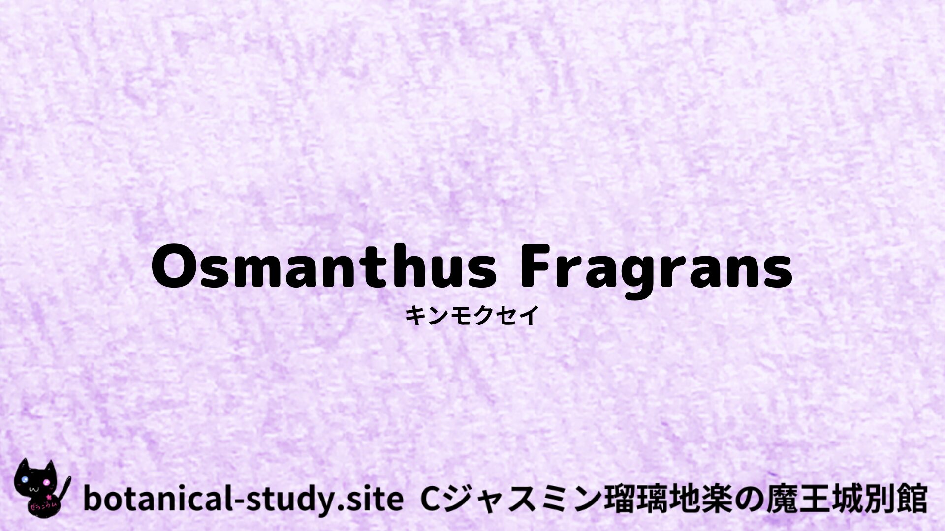 【別館】osmanthus-キンモクセイ/ハーブ/アイキャッチ＠botanical-study.site