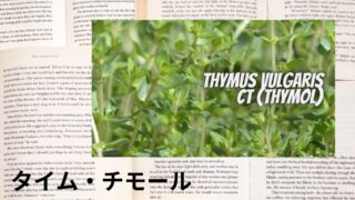 タイム・チモール:プチ辞典