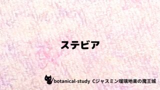 ステビア：プチ辞典クイズ