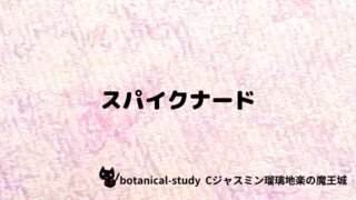 スパイクナード：プチ辞典クイズ
