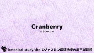 Cranberry:Mini Dictionary Quiz クランベリー