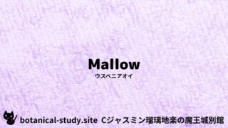 Mallow:Mini Dictionary Quiz ウスベニアオイ