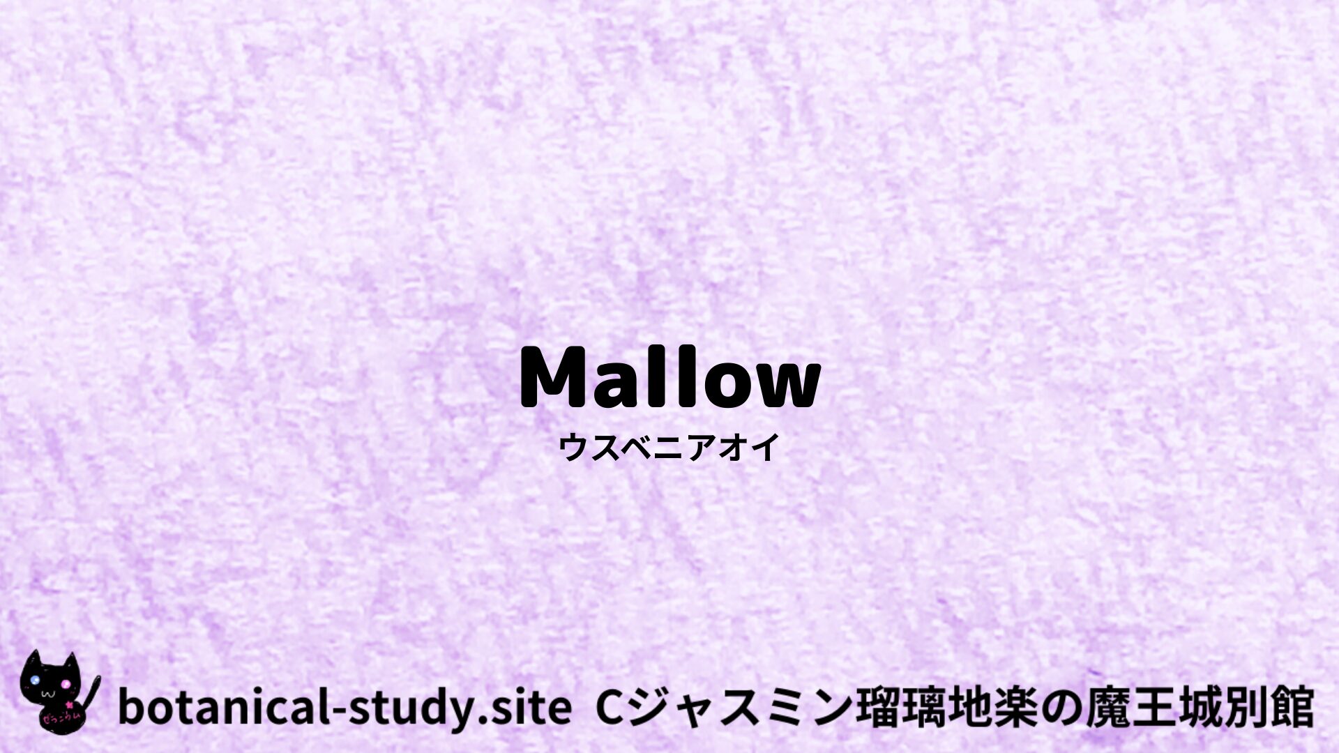 Mallow:Mini Dictionary Quiz ウスベニアオイ