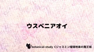 ウスベニアオイ:プチ辞典クイズ