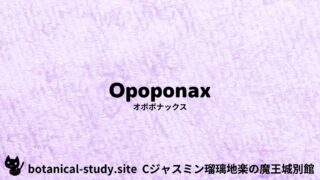 Opoponax:Mini Dictionary Quiz オポポナックス
