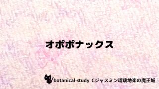 オポポナックス:プチ辞典クイズ