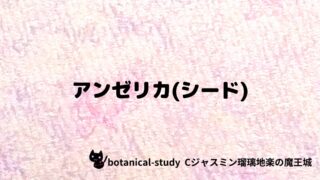 アンゼリカ(シート):プチ辞典クイズ