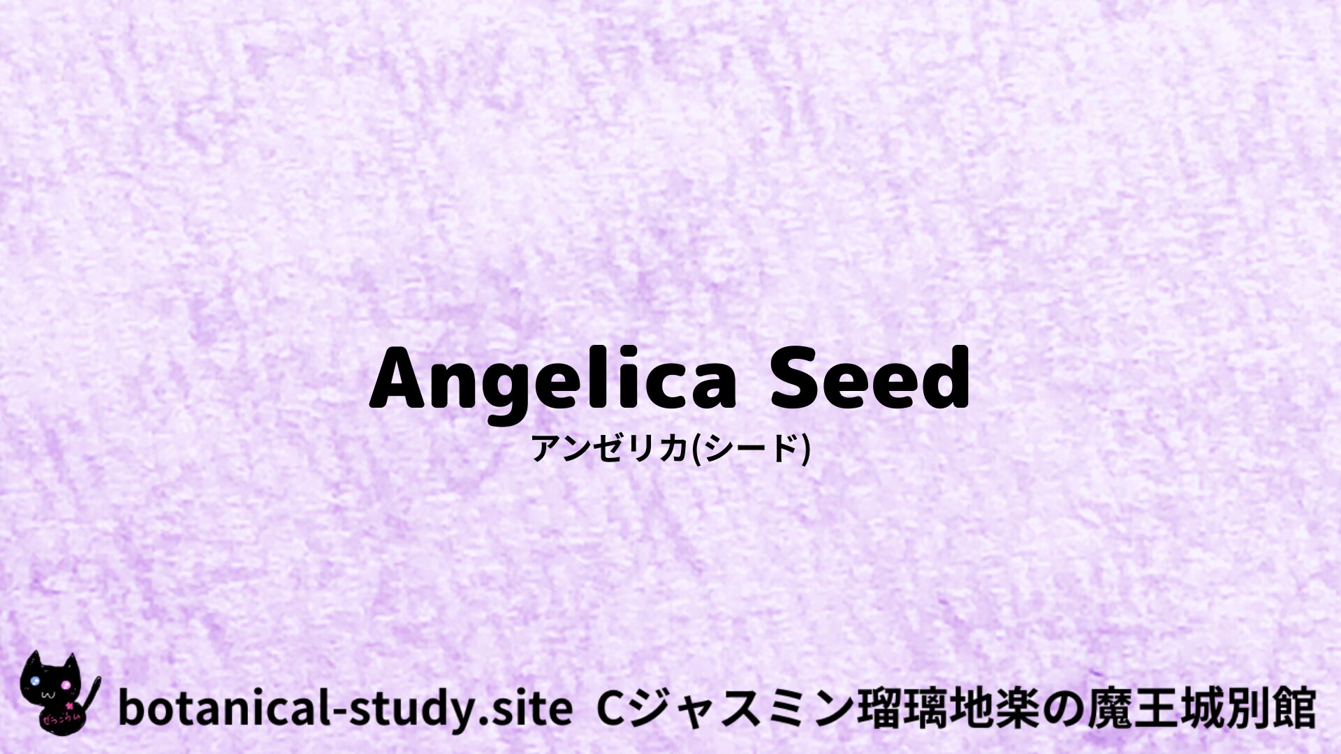 【別館】angelica-seed-angustifolia-アンゼリカ(シード)＠botanical-study.site