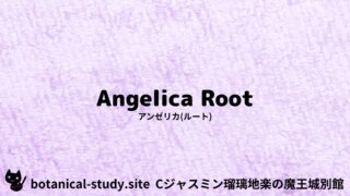Angelica Root：Mini Dictionary Quiz　アンゼリカ(ルート)