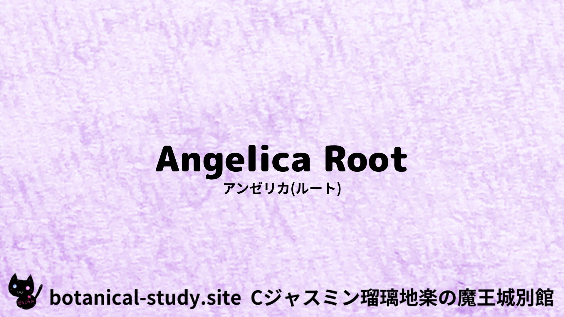 【別館】angelica-seed-angustifolia-アンゼリカ(ルート)/アイキャッチ＠botanical-study.site