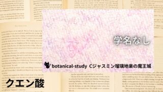Citric Acid:Mini Dictionary クエン酸