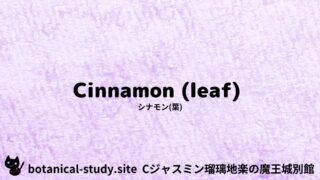 Cinnamon (leaf):Mini Dictionary Quiz シナモン(葉)