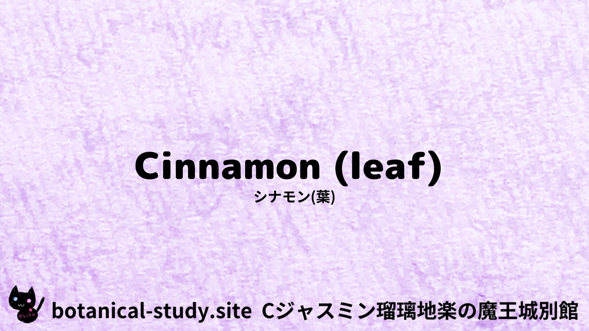 Cinnamon (leaf)：Mini Dictionary Quiz　シナモン(葉)