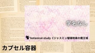 Capsule Container：Mini Dictionary　カプセル容器