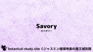 Savory：Mini Dictionary Quiz　セイボリー