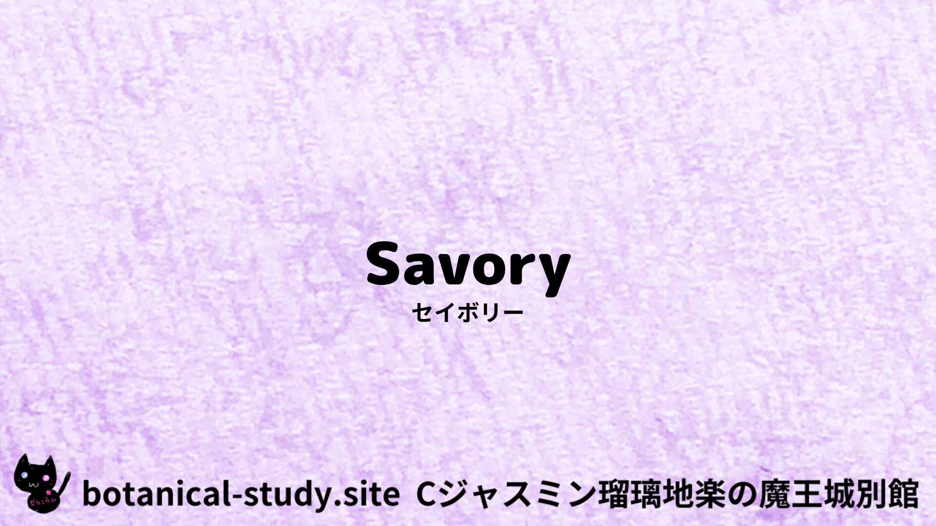 【別館】savory-セイボリー/ハーブ/アイキャッチ＠botanical-study.site