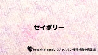 セイボリー：プチ辞典クイズ