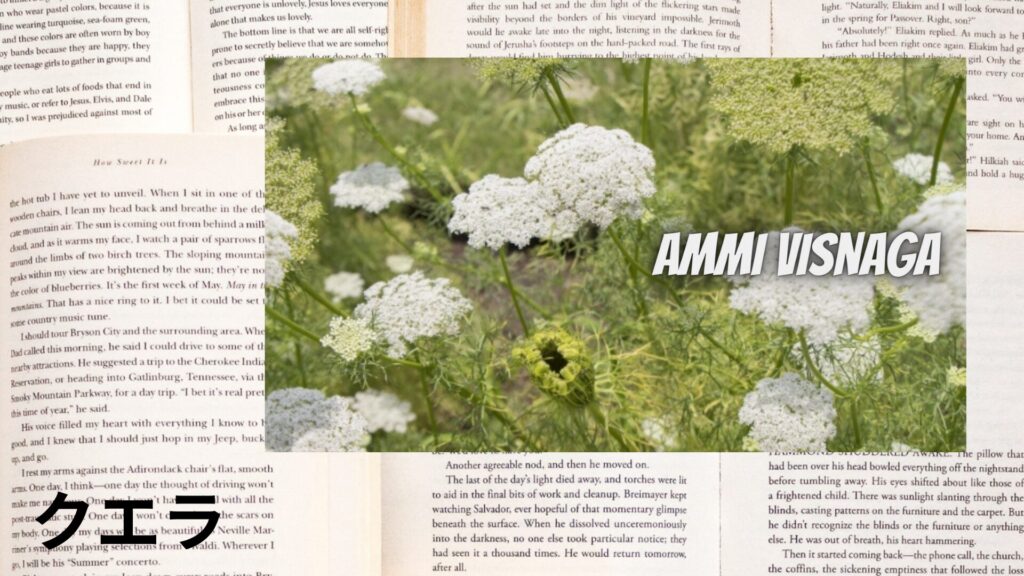 【別館画像】cuella-クエラ/アイキャッチ＠botanical-study.site