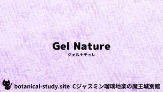 Gel Nature：Mini Dictionary Quiz　ジェルナチュレ