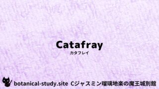 Katafray：Mini Dictionary Quiz　カタフレイ